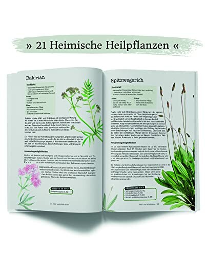 Buchseite mit Informationen über Baldrian und Spitzwegerich.