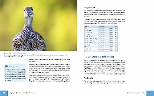 Ente in Nahaufnahme mit Text und Tabelle auf einer Buchseite.